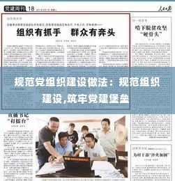 规范党组织建设做法：规范组织建设,筑牢党建堡垒 