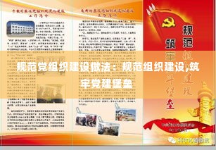 规范党组织建设做法:规范组织建设,筑牢党建堡垒