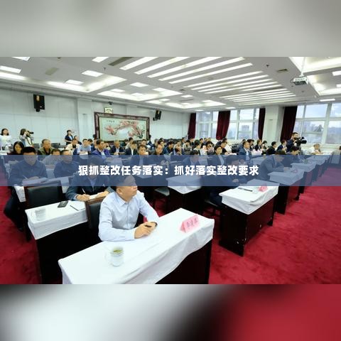 狠抓整改任务落实：抓好落实整改要求 