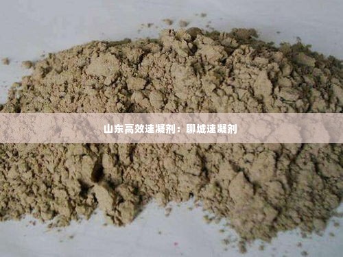 山东高效速凝剂：聊城速凝剂 