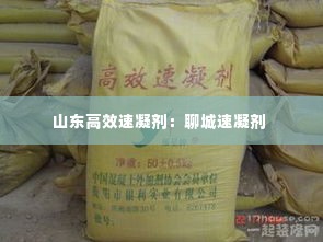 山东高效速凝剂:聊城速凝剂