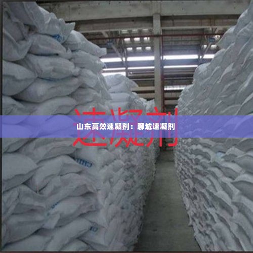 山东高效速凝剂:聊城速凝剂