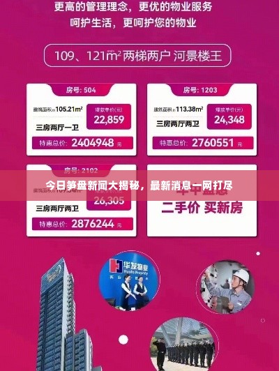今日笋盘新闻大揭秘,最新消息一网打尽