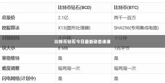 比特币钻石今日最新动态速递