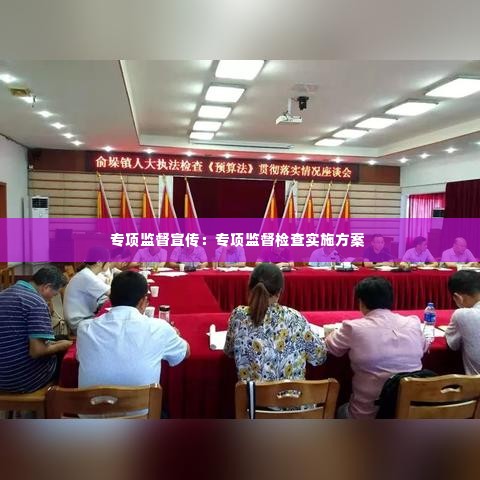 专项监督宣传:专项监督检查实施方案
