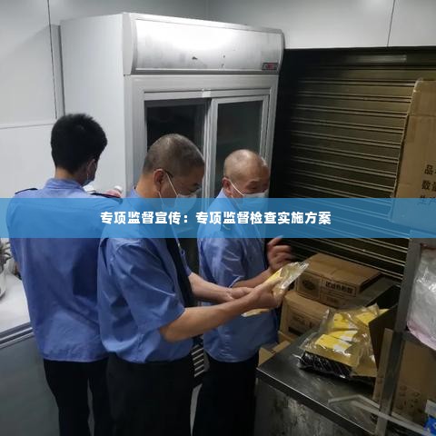 专项监督宣传:专项监督检查实施方案