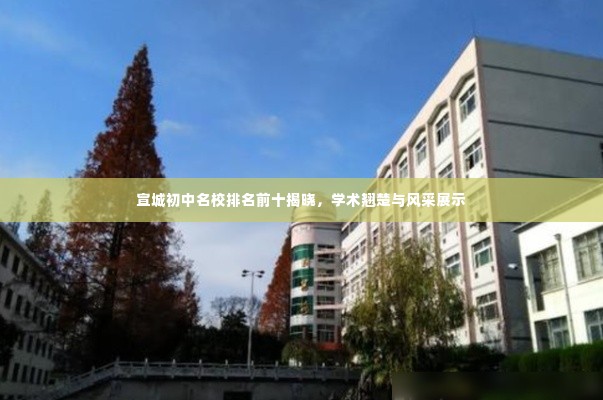 宣城初中名校排名前十揭晓,学术翘楚与风采展示