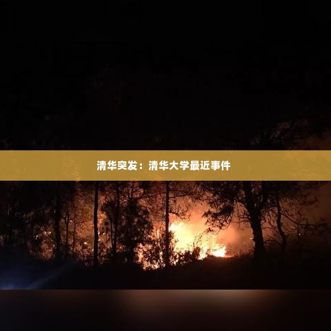 清华突发：清华大学最近事件 