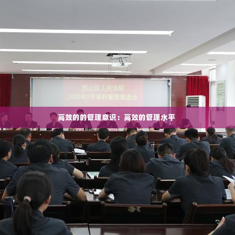高效的的管理意识:高效的管理水平