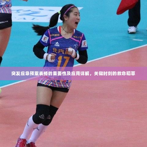 突发应急预案表格的重要性及应用详解，关键时刻的救命稻草