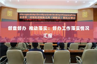 督查督办 推动落实:督办工作落实情况汇报