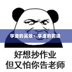 学渣的高效:学渣的前途