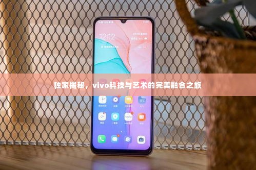 独家揭秘，vivo科技与艺术的完美融合之旅