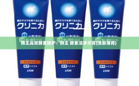 狮王高效酵素防护:狮王 酵素洁净牙膏(清新薄荷)