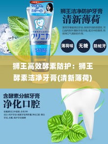 狮王高效酵素防护:狮王 酵素洁净牙膏(清新薄荷)
