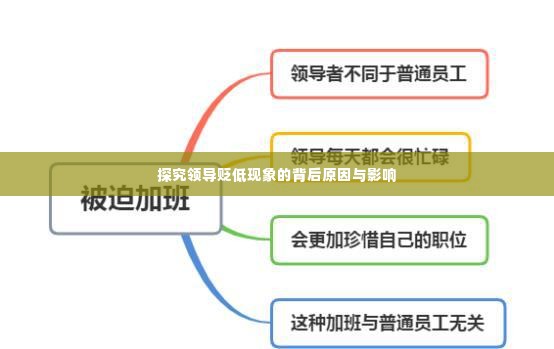 探究领导贬低现象的背后原因与影响