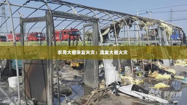 农用大棚突发火灾：温室大棚火灾 