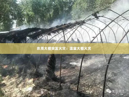 农用大棚突发火灾:温室大棚火灾