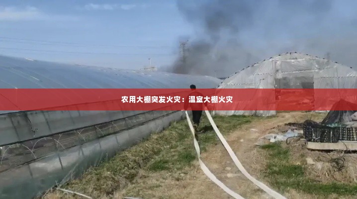 农用大棚突发火灾:温室大棚火灾