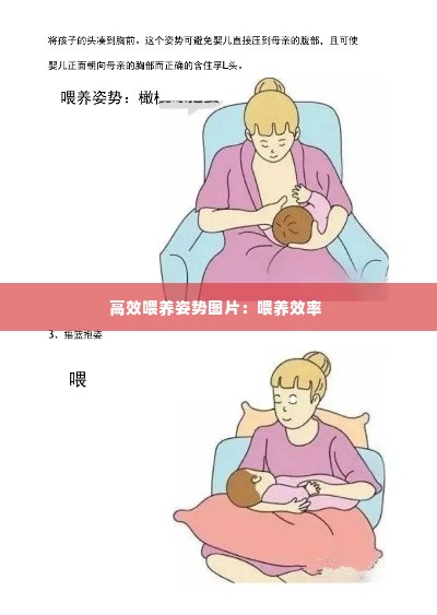 高效喂养姿势图片：喂养效率 
