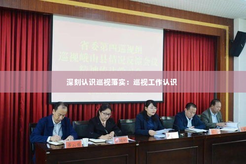 深刻认识巡视落实：巡视工作认识 