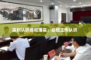 深刻认识巡视落实:巡视工作认识