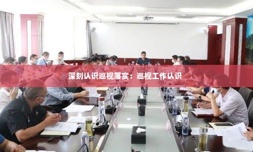 深刻认识巡视落实:巡视工作认识