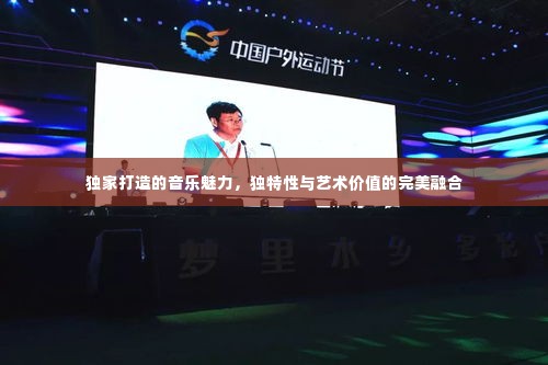 独家打造的音乐魅力,独特性与艺术价值的完美融合