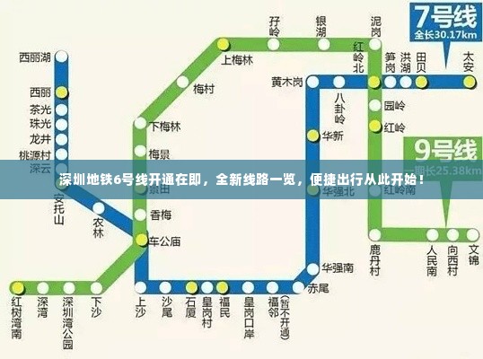 一毫不苟 第3页