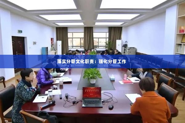 落实分管文化职责：强化分管工作 