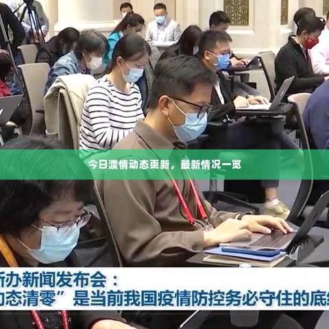 今日渡情动态更新，最新情况一览