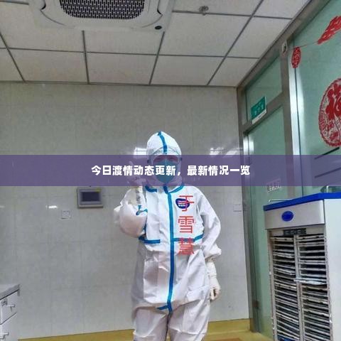 今日渡情动态更新,最新情况一览