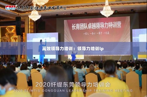 高效领导力培训:领导力培训lp
