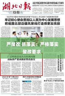 严整改 抓落实:严格落实整改要求