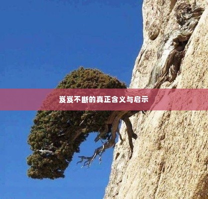 岌岌不断的真正含义与启示