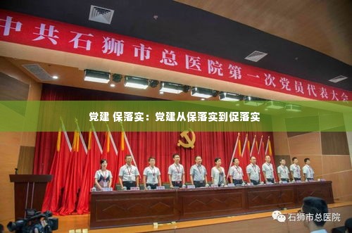 党建 保落实：党建从保落实到促落实 