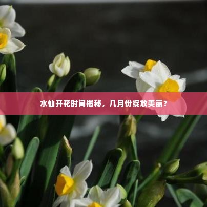 水仙开花时间揭秘,几月份绽放美丽?