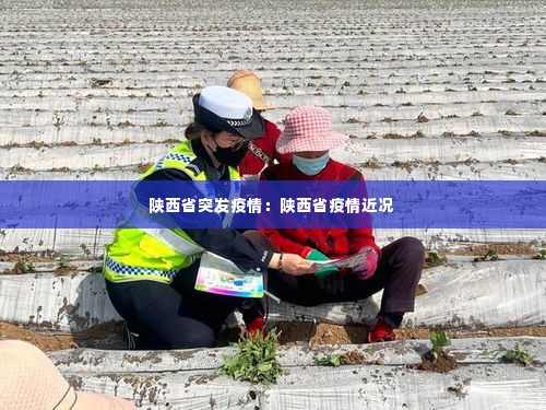 陕西省突发疫情:陕西省疫情近况