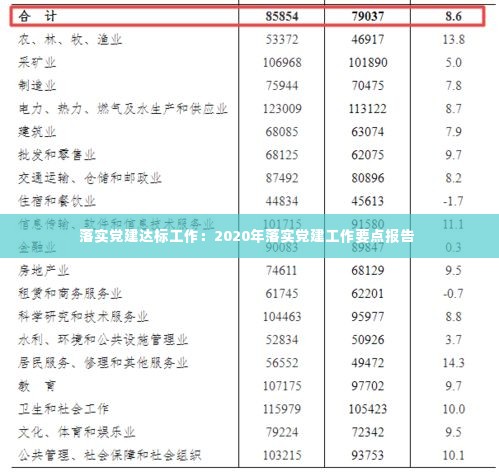 落实党建达标工作：2020年落实党建工作要点报告 