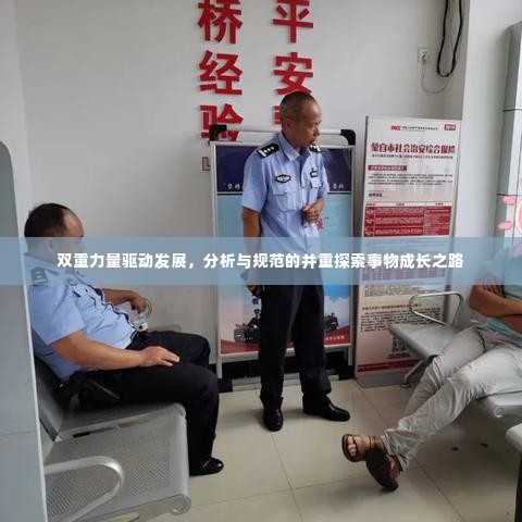 双重力量驱动发展，分析与规范的并重探索事物成长之路