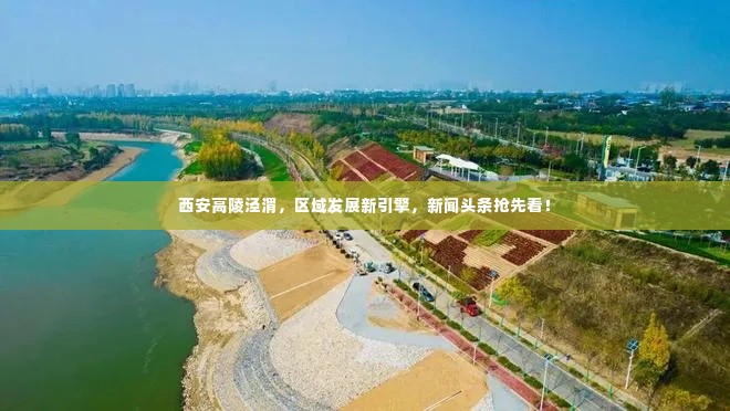 西安高陵泾渭，区域发展新引擎，新闻头条抢先看！