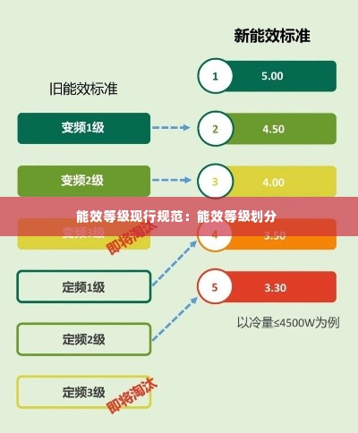 轻徙鸟举 第3页