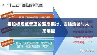 招投标规范管理的深度探讨,实践策略与未来展望