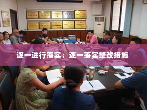 逐一进行落实:逐一落实整改措施