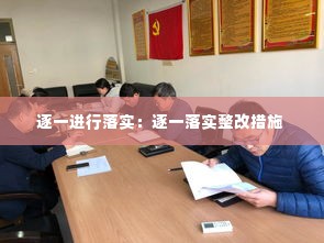 逐一进行落实:逐一落实整改措施