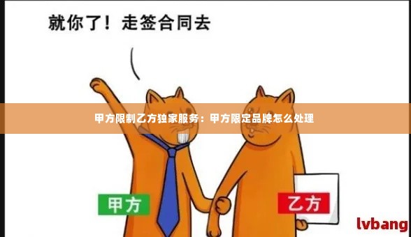 甲方限制乙方独家服务：甲方限定品牌怎么处理 