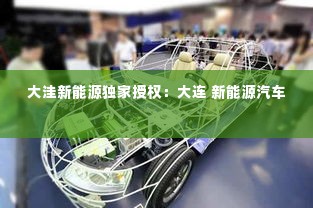 大洼新能源独家授权:大连 新能源汽车