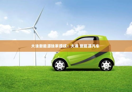 大洼新能源独家授权：大连 新能源汽车 