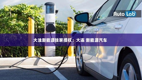 大洼新能源独家授权:大连 新能源汽车