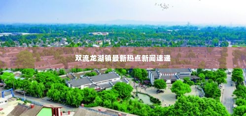 双流龙湖镇最新热点新闻速递